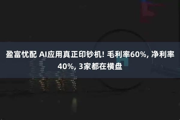 盈富忧配 AI应用真正印钞机! 毛利率60%, 净利率40%, 3家都在横盘